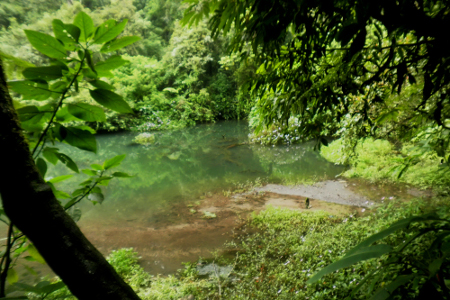 Danau Biru curug Cibeureum - Wisata Cibodas | Bumi ...